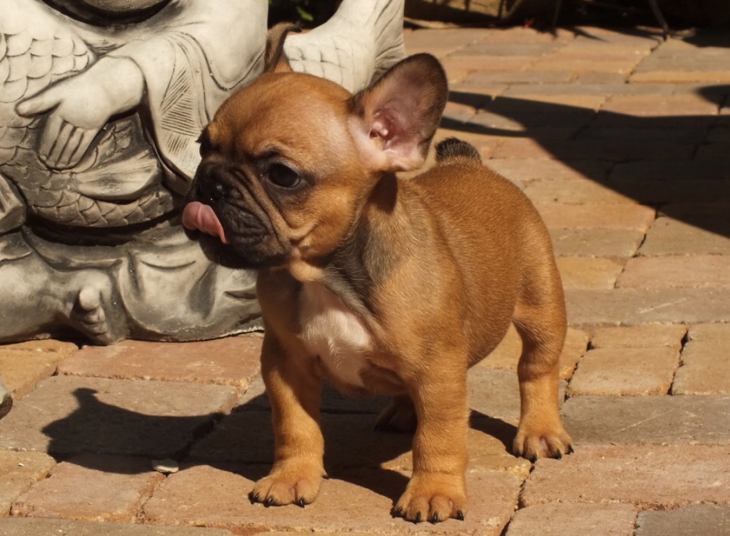 Leilani – eine aussergewöhnliche Reise