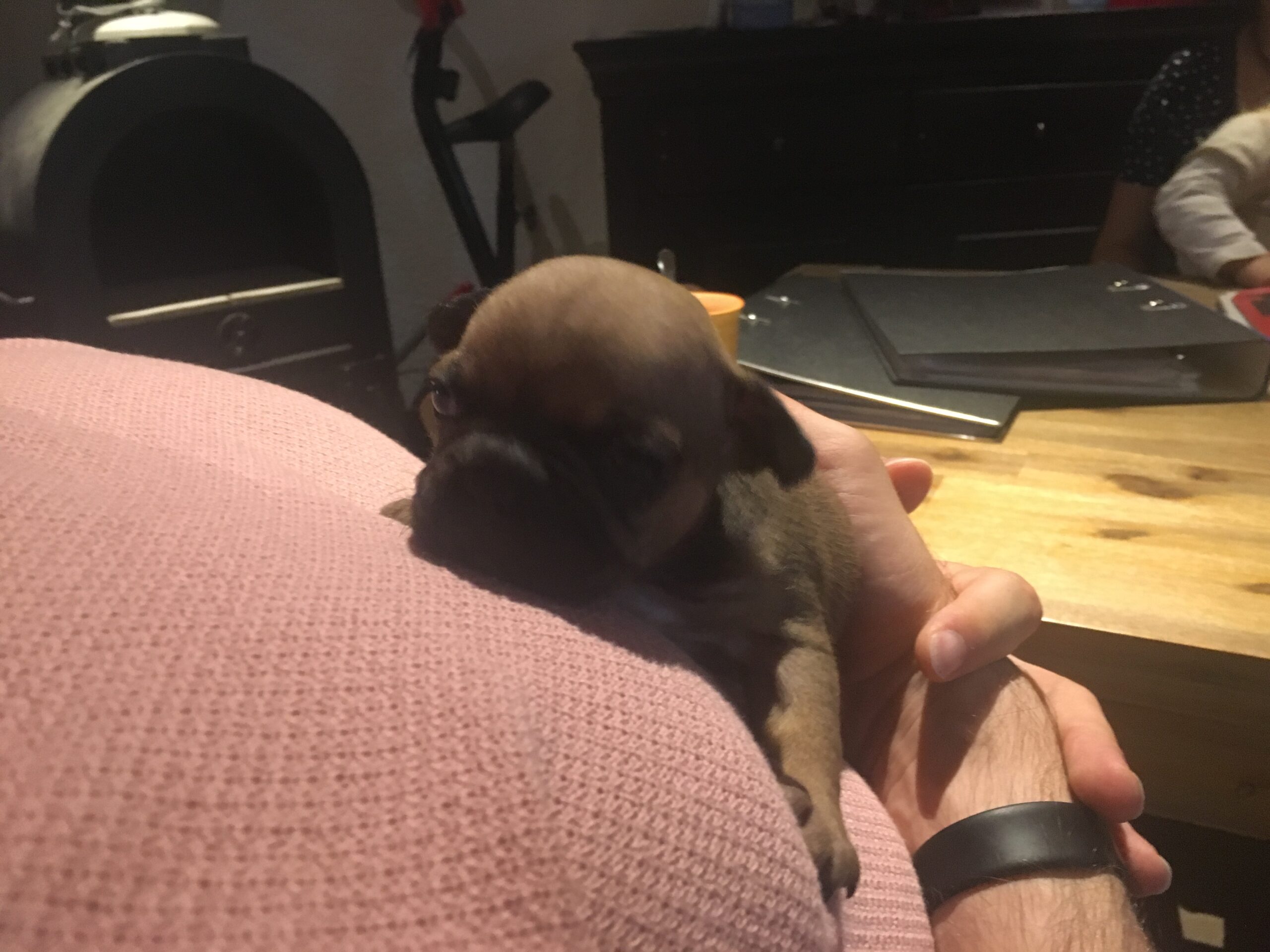 Leilani Story – Folge 1