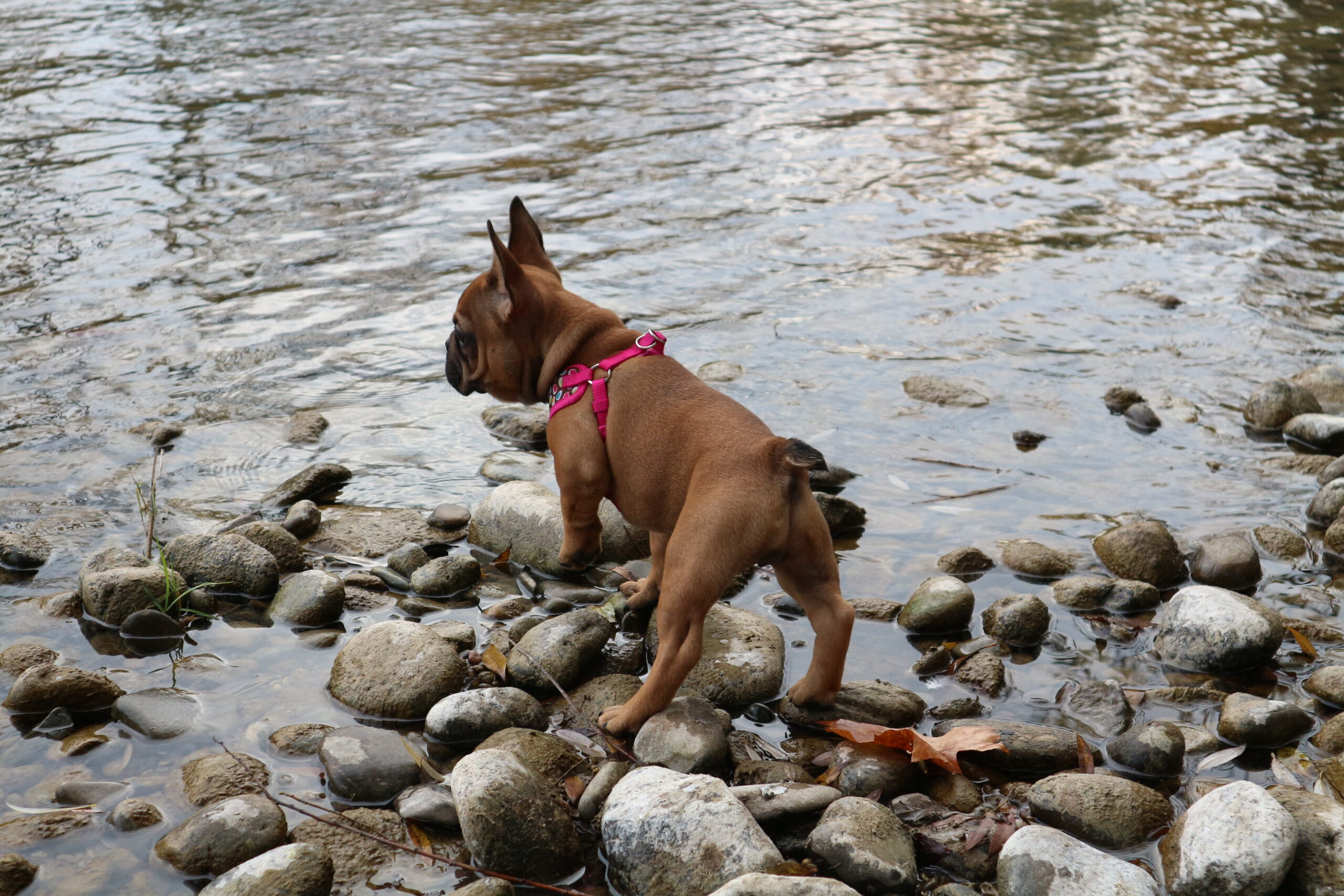 Leilani Story – Folge 2