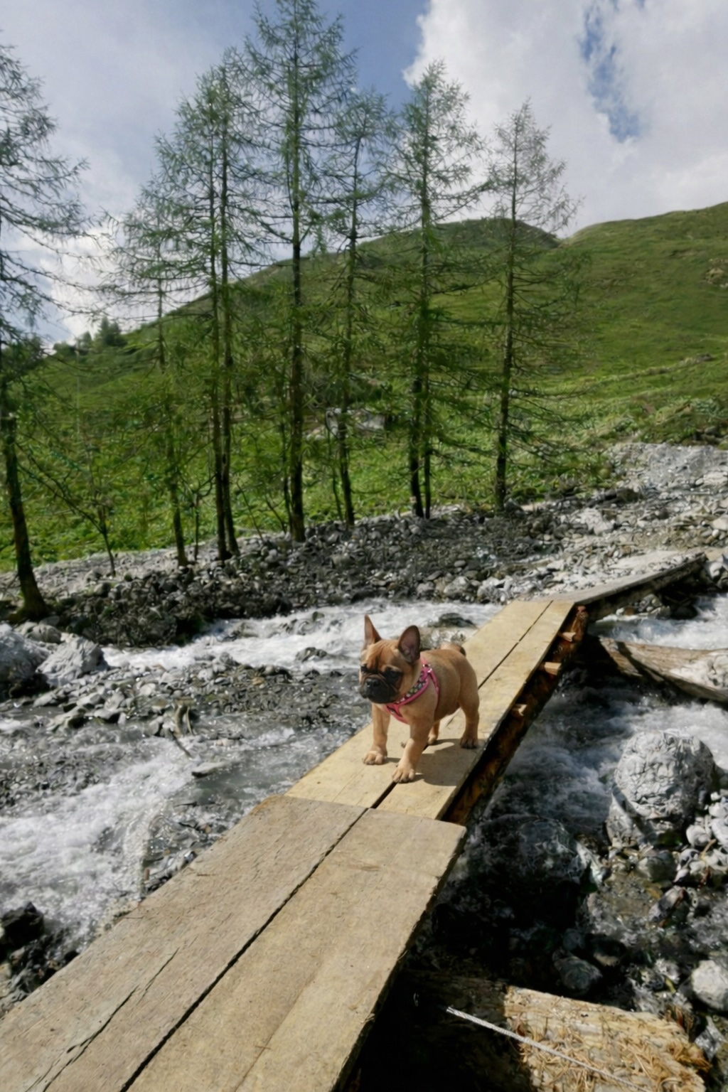 Leilani Story – Folge 2