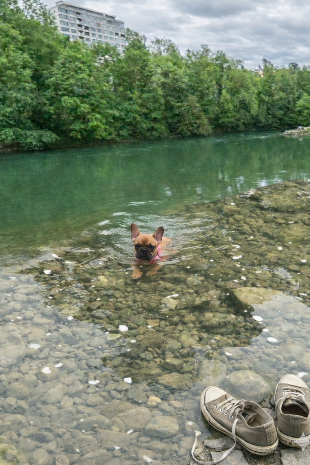 Freiheit ist kein Geschenk an den Hund.Sie ist eine Verpflichtung an dich selbst.