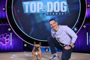 topdog-422 copy
