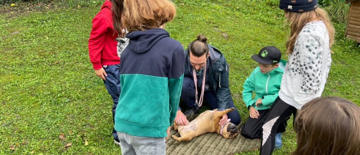 Beim Kurs "kids meets Dogs" aus dem Ferienpass in Zürich lernen Kinder den korrekten Umgang mit Hunden.