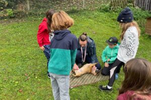Beim Kurs "kids meets Dogs" aus dem Ferienpass in Zürich lernen Kinder den korrekten Umgang mit Hunden.