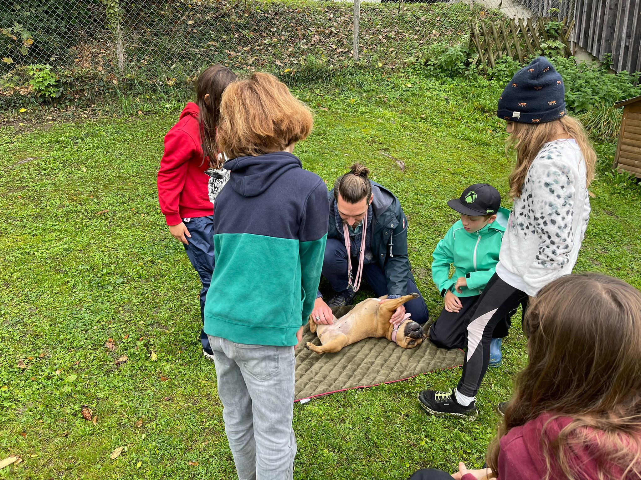 Beim Kurs "kids meets Dogs" aus dem Ferienpass in Zürich lernen Kinder den korrekten Umgang mit Hunden.