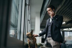 Benny und Leilani Business Dog