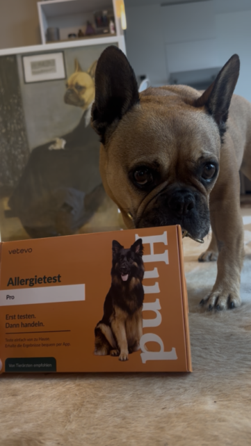 Allergietest für Hunde